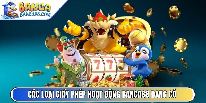 Các loại giấy phép hoạt động Banca68 đang có